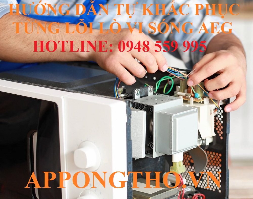 Bảng Mã Lỗi Lò Vi Sóng AEG Hướng Dẫn Tự Khắc Phục Chuẩn