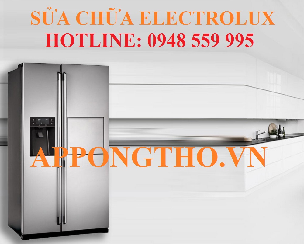 2. Trung Tâm Dịch Vụ Sau Bảo Hành Electrolux – TP. Hồ Chí Minh
