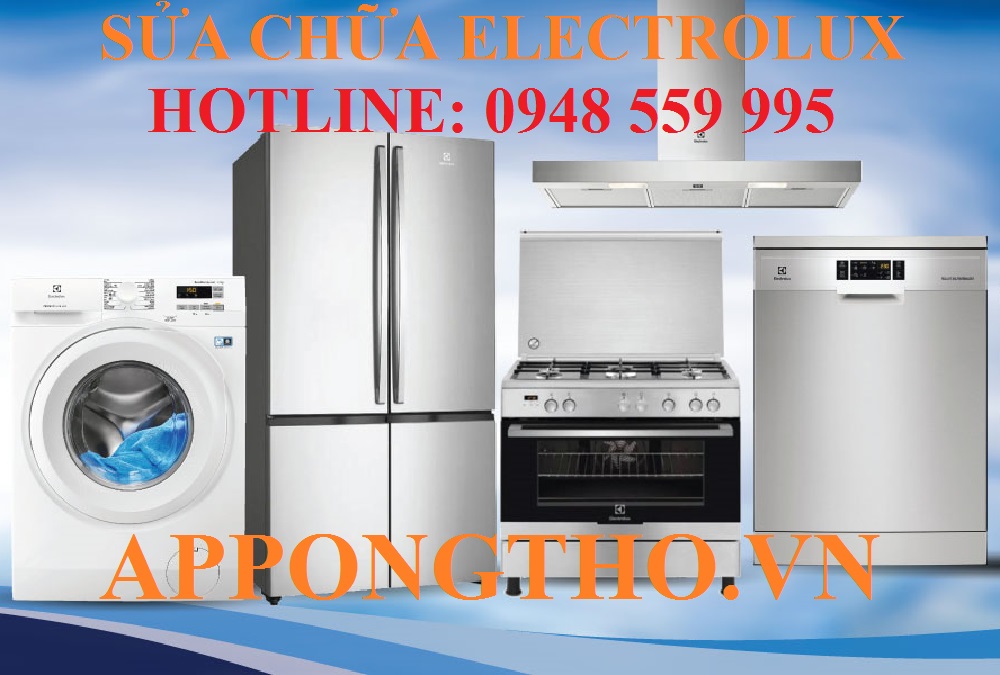 24. Trung Tâm Dịch Vụ Sau Bảo Hành Electrolux – Gia Lai & Bình Định