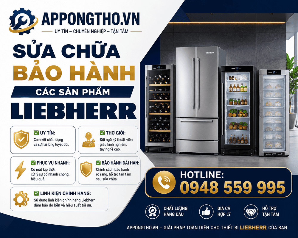 4. Sửa chữa sau bảo hành Liebherr tại nhà Hà Đông, Hà Nội