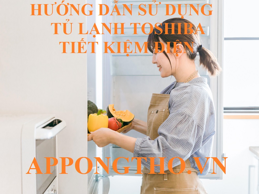 Dùng tủ lạnh Toshiba hết bao nhiêu tiền điện 1 tháng?
