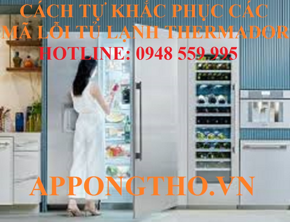6) Khắc phục cảm biến dàn lạnh (Lỗi F1, OP, SH) tủ lạnh Thermador