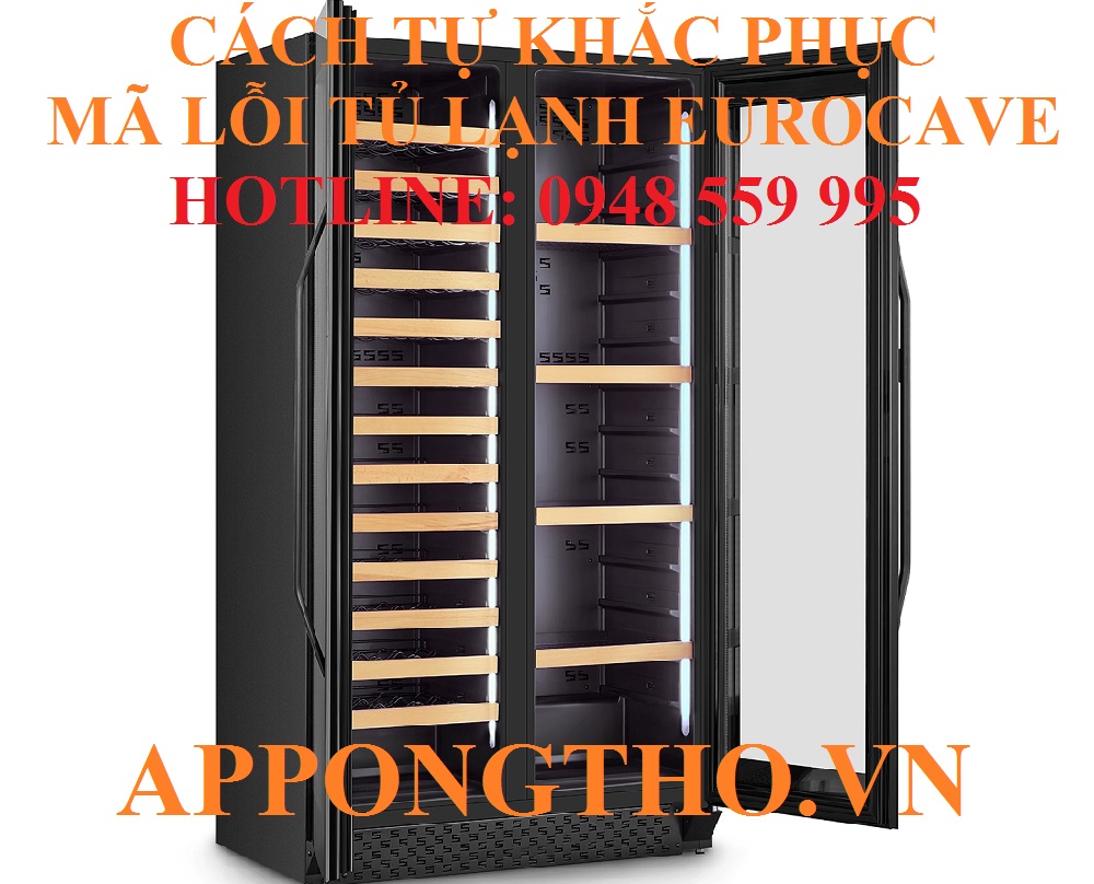 1. Khắc phục máy nén (E1) trên tủ rượu EuroCave