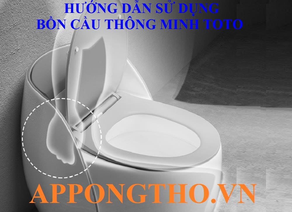 8 Dấu hiệu thường gặp khi dùng bồn cầu thông minh TOTO