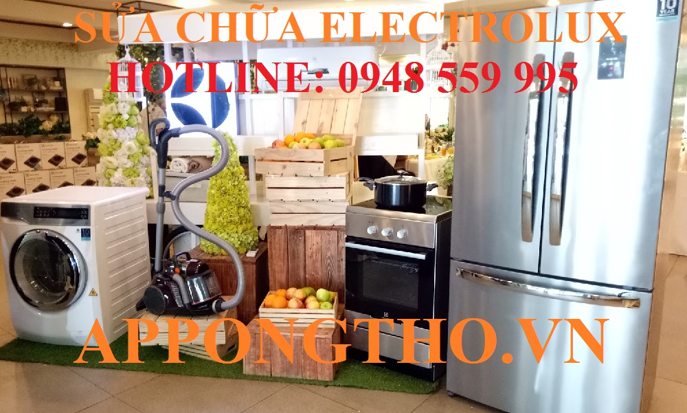 8. Trung Tâm Dịch Vụ Sau Bảo Hành Electrolux – Bắc Ninh, Bắc Giang