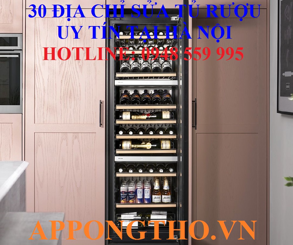 20. Sửa chữa bảo hành các hãng tủ rượu tại Mỹ Đức - Hà Nội