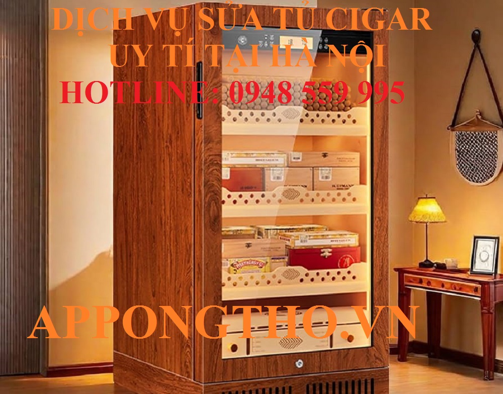 7. Sửa tủ xì gà tại Hai Bà Trưng - Hà Nội