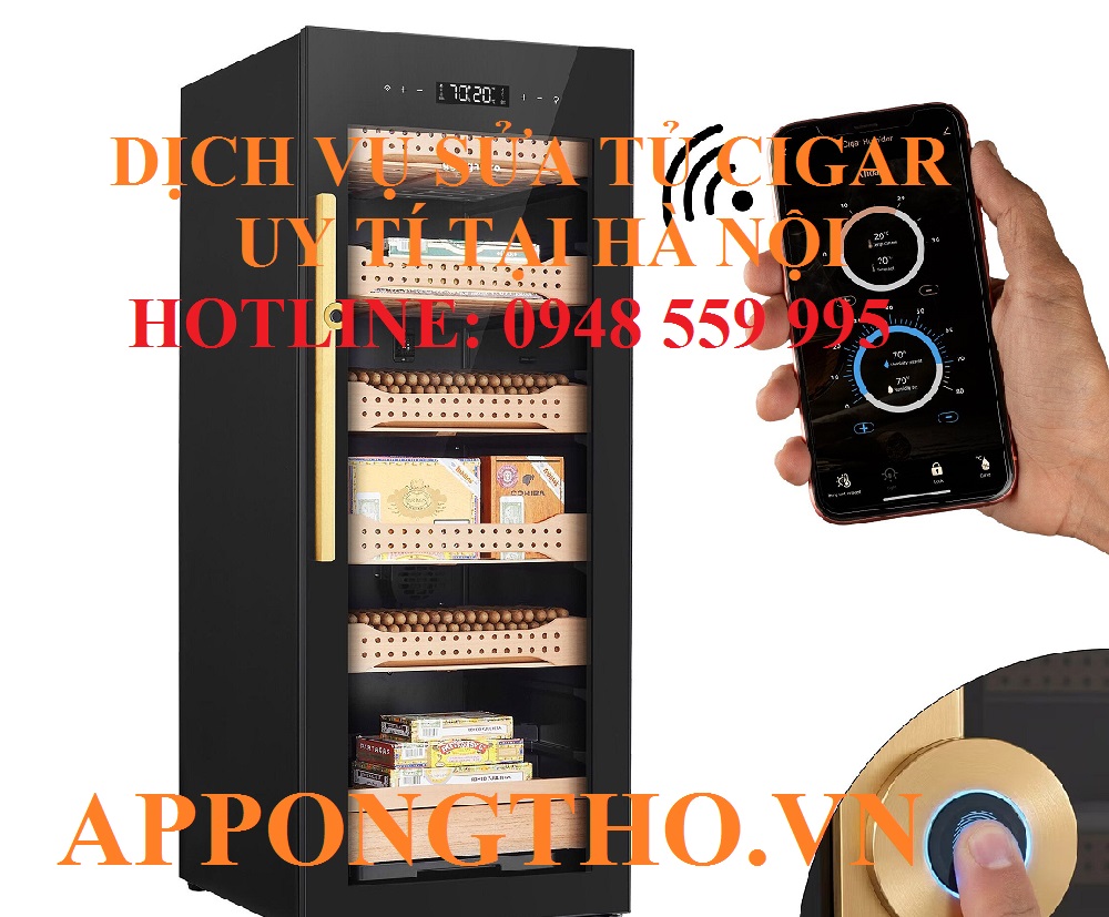 13. Sửa chữa tủ CIGAR tại Ba Vì - Hà Nội