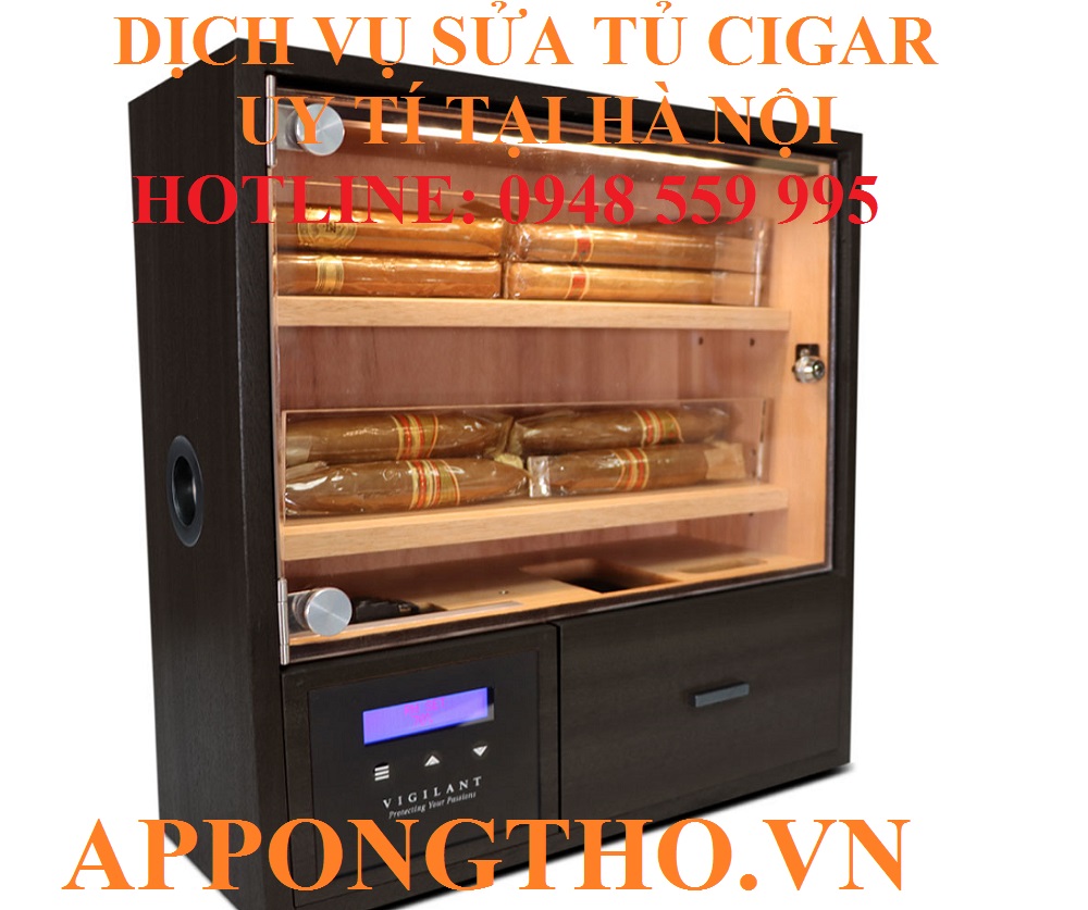 19. Sửa chữa tủ CIGAR tại Mê Linh - Hà Nội