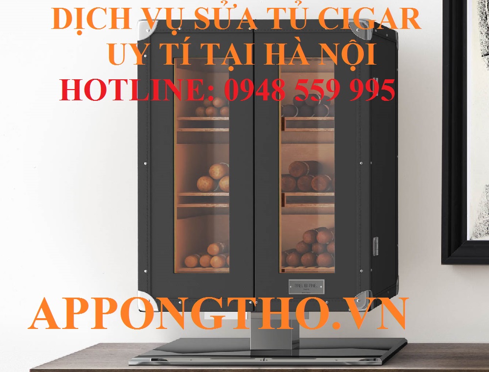 22. Sửa chữa tủ CIGAR tại Phúc Thọ - Hà Nội
