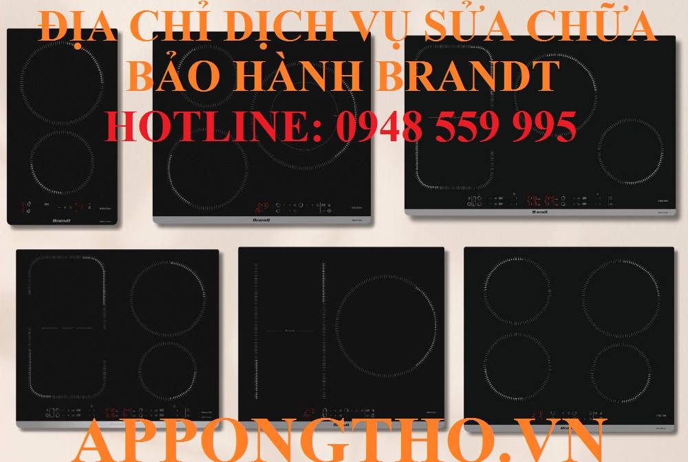 2️⃣5️⃣ Trung tâm sửa chữa & bảo hành Brandt tại Thạch Thất