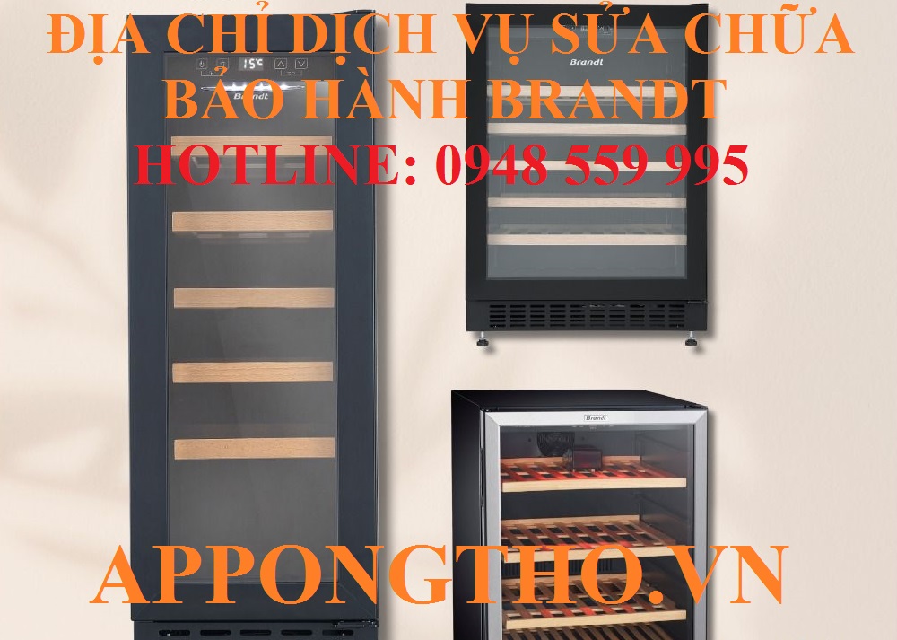 3️⃣ Trung tâm sửa chữa & bảo hành Brandt tại Đống Đa