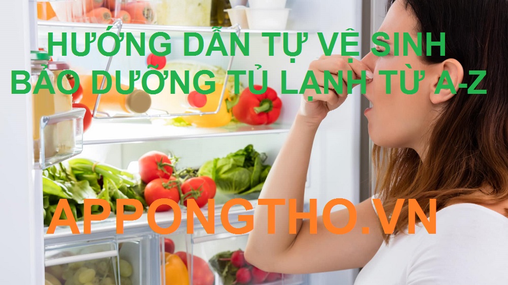 Tại sao phải vệ sinh bảo dưỡng tủ lạnh?