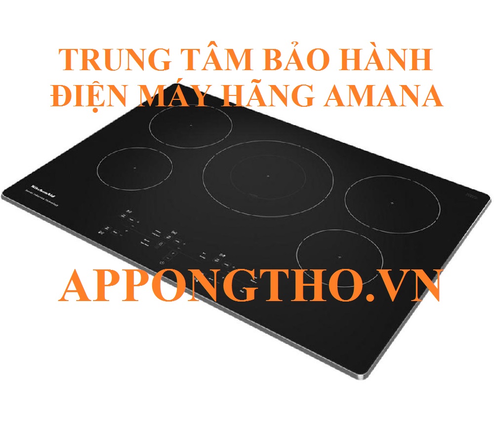 Bảo hành Amana Tại Quận Đống Đa - Hà Nội