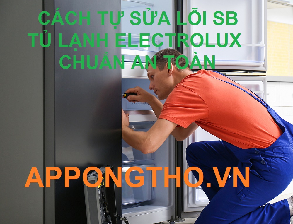 Cách Riset Tủ Lạnh Electrolux Báo Lỗi SB ( Chế Độ Sabbath )