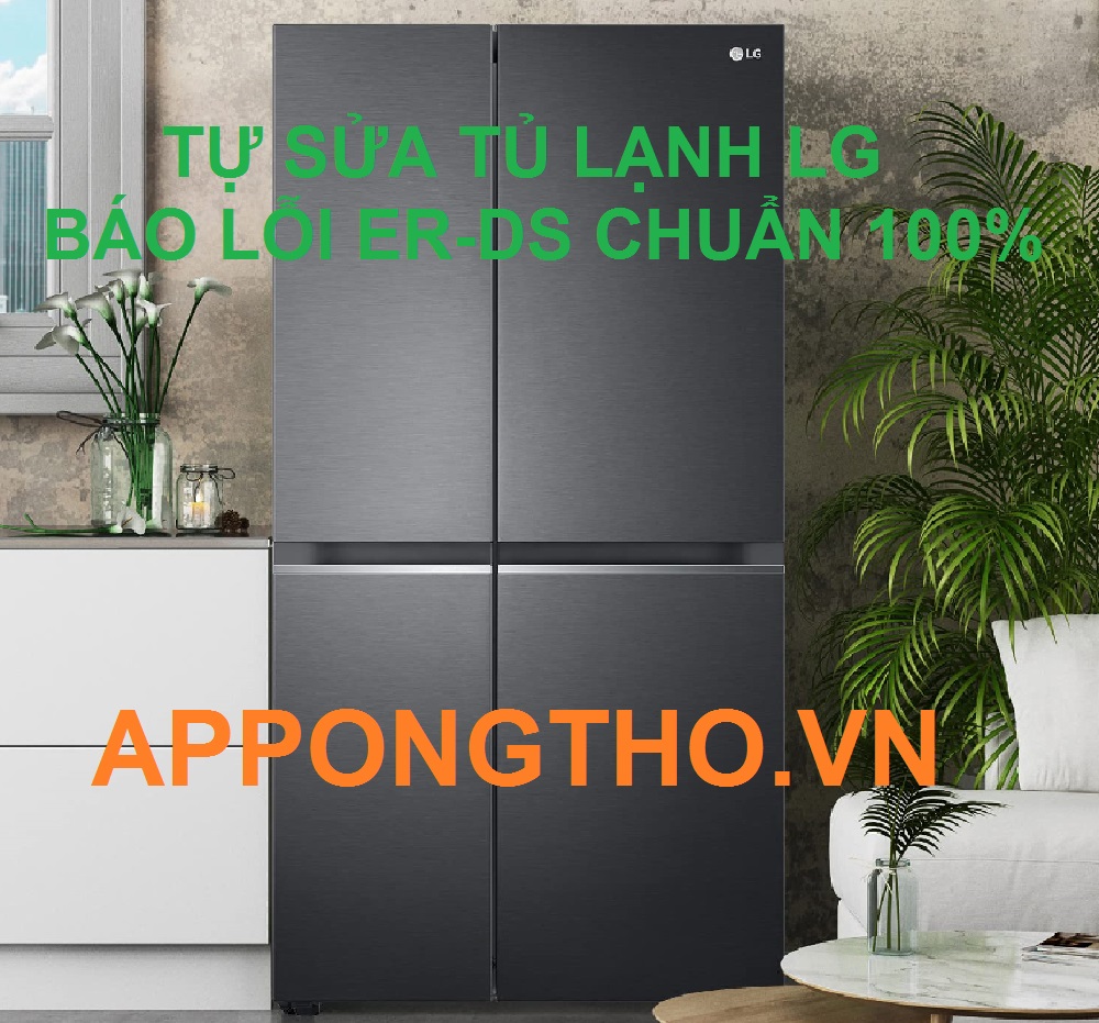 Mã lỗi ER-DS là gì trên tủ lạnh LG?