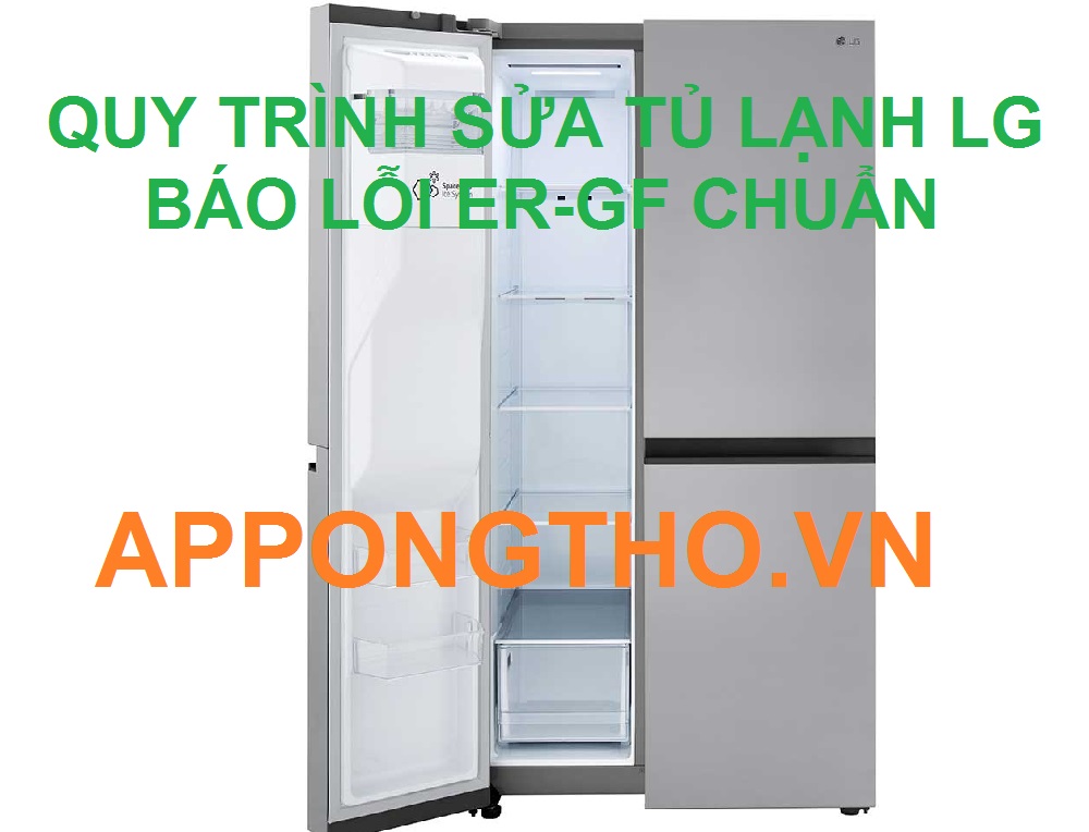 Dịch vụ sửa lỗi ER-GF tủ lạnh LG