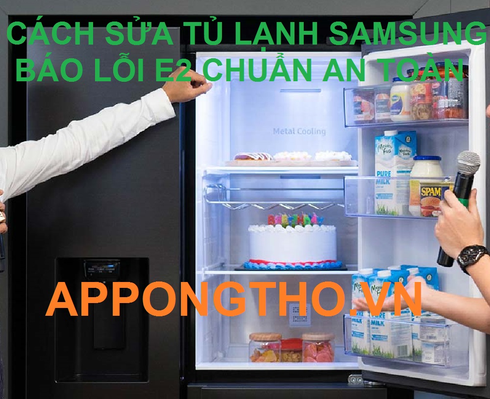 Hỏng Điện Trở Phá Băng Tủ Lạnh Samsung Lỗi E2 Chính Xác 100%