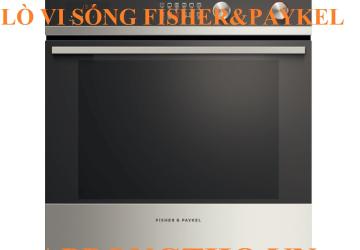 Mã Lỗi Lò Vi Sóng Fisher & Paykel