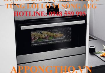 Bảng Mã Lỗi Lò Vi Sóng AEG