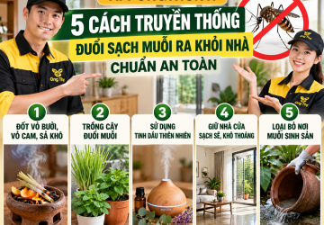Mẹo đuổi muỗi trong nhà không còn con nào